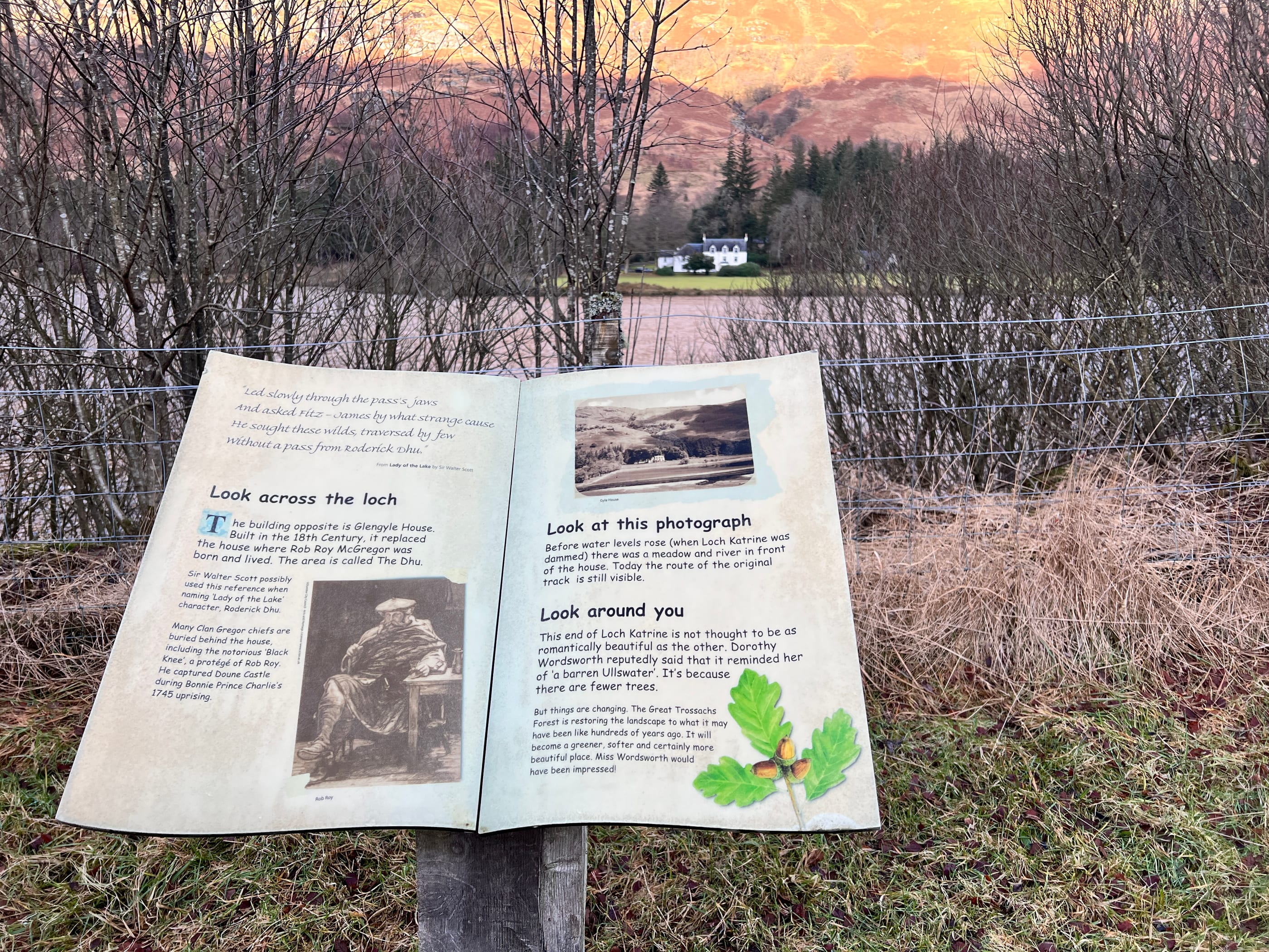 Great Trossachs Path | Day 3 feature image