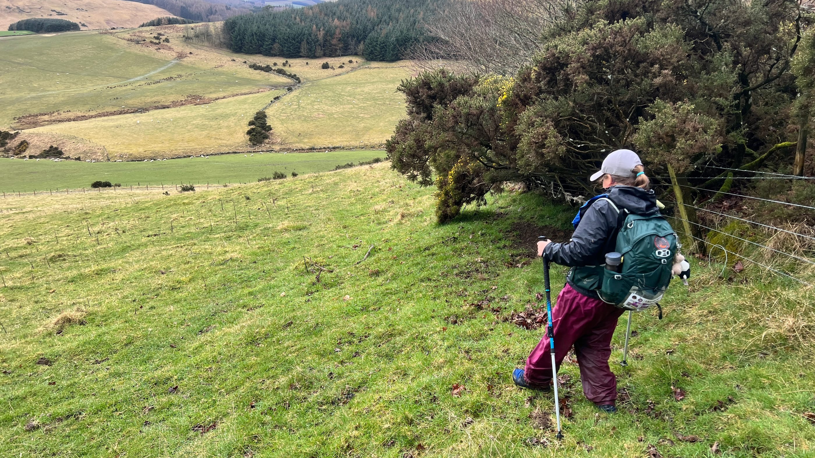 The Cateran Trail | Day 6 feature image